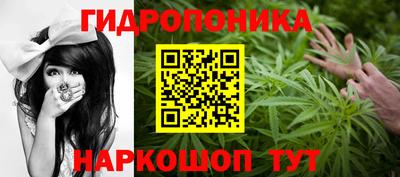 прущие грибы Канаш