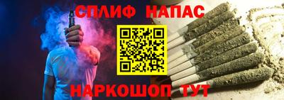 гидра Кандалакша