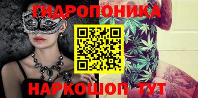 прущие грибы Канаш
