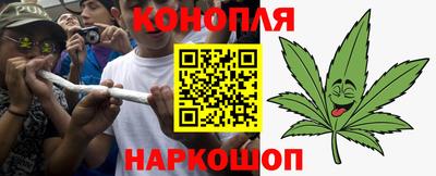 прущие грибы Канаш
