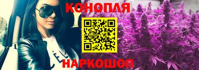 гидра Кандалакша