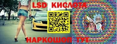 гидра Кандалакша